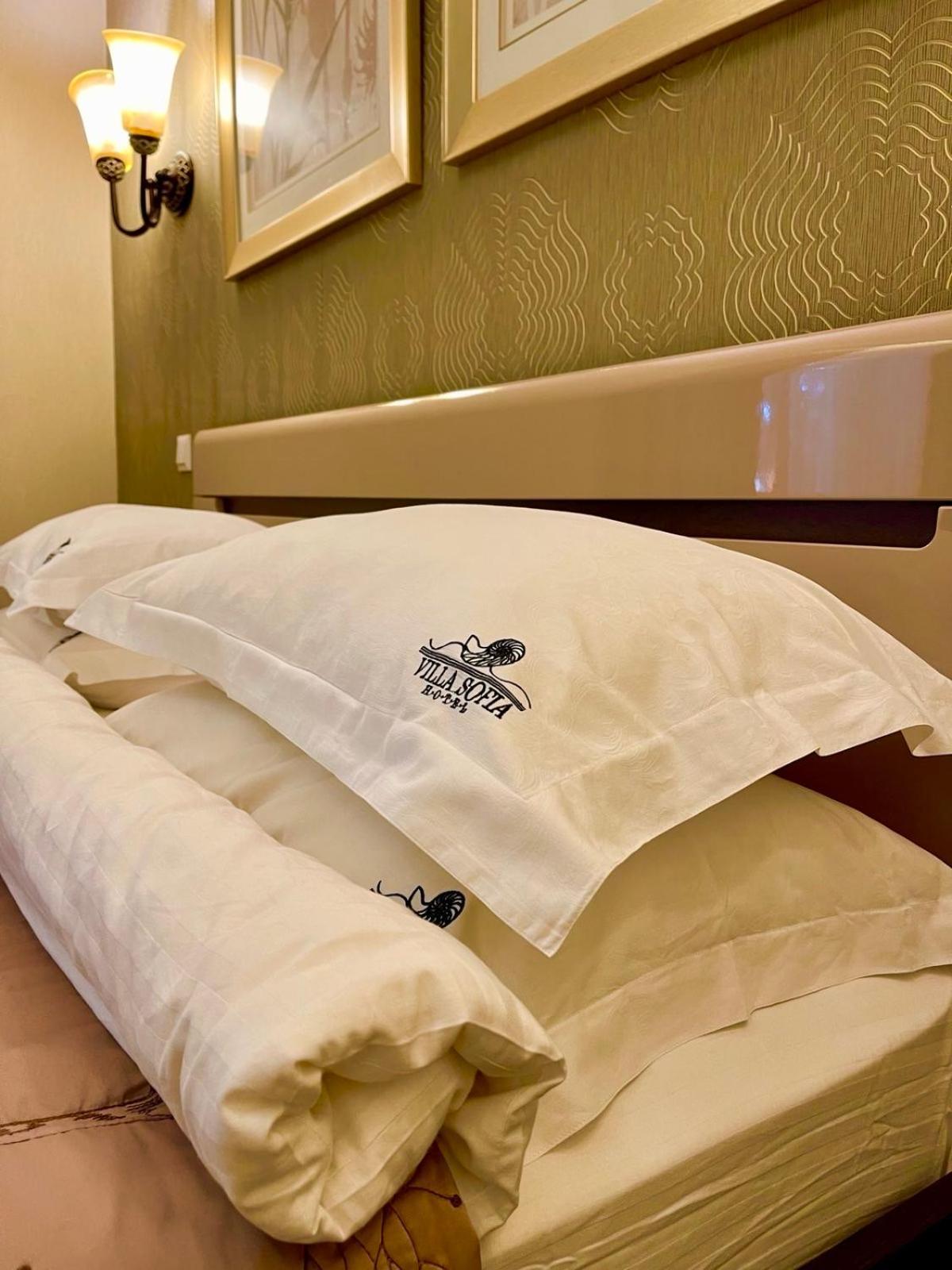 Villa-Sofia Mini-Hotel Οδησσός Εξωτερικό φωτογραφία